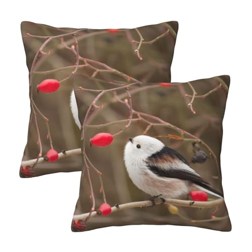 クッションカバー 鳥」の人気商品一覧 | 安い商品を通販サイトから探す