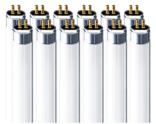 Ledvance Fp54/850/Ho/Eco 54 Watt T5 Ho High Output Fluorescent Tube Light Bulb 54W 5000K (Pack Of 12) Replaces F54T5 F54T5/Ho F54T5/Ho/850 F54W/T5/850/Eco F54T5/850/Ho/Alto Fp54/850/Ho/Xl/Eco #TOP20