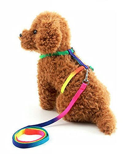Royale Cat Harness Soft with Pet Cat Clip Puppy Walking Leash Adjustable Nylon Kitten Lead (B097YGX88F) Amazon Price History, Amazon Price Tracker