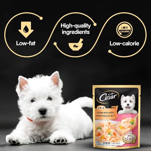 Image of Cesar Premium Adult Wet Dog Food, Sasami with Cheese & Vegetables in Jelly, 70gm