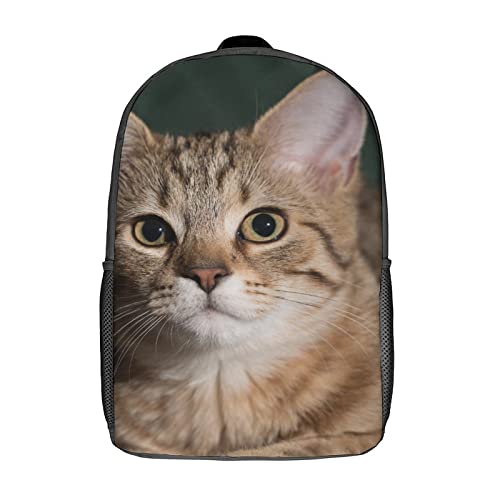 Sac à dos d'école chat au design imprimé en 3D relief pour style unique