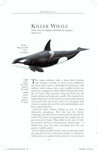 ANTARCTICA WILDLIFE – vue 5