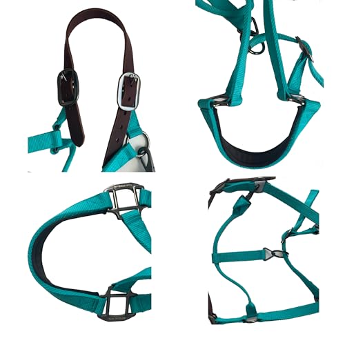 Majestic Ally Leather Halter with Matching Lead Rope for Horses – Leather Breakaway Crown - Adjustable Chin Strap – Rolled Throat Latch – Padded Noseband – Full (Turquoise, Cob)