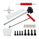MotiveTech 30 Stück Reifenventil Reparaturset Ventilschaft Werkzeugsatz Ventilkern Entferner Mehrfunktionales Design Aus Metall PP Nylon für Autospezialisten für, 23 StÜcke