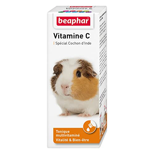 Porta vitalità e benessere: questo tonico multivitaminico di Beaphar contiene tutte le vitamine importanti tra cui la vitamina C, indispensabili per la tua cavia e che gli permette una buona salute.