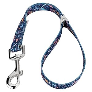 Country Brook Petz Dog & Pet 5/8 Inch Grooming Loop with Spring Loaded Clip – 18 Unique Designs for Grooming and Vet Tables (Dinosaurs)