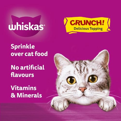 Whiskas Crunch Cat Treats 100 g- Delicious Crunchy Snacks for Cats (Pack of 6) - Image 4