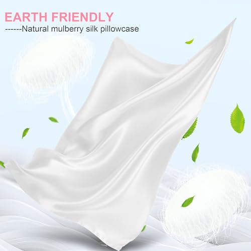 Mulberry Silk Pillow Cases 2 Pack Standard Size 20x26 Inches with Hidden Zipper, Ultra Smooth and Soft Breathable Cooling Silk Satin Pillowcase Set of 2, Better for Hair and Skin, Gifts for Women Men