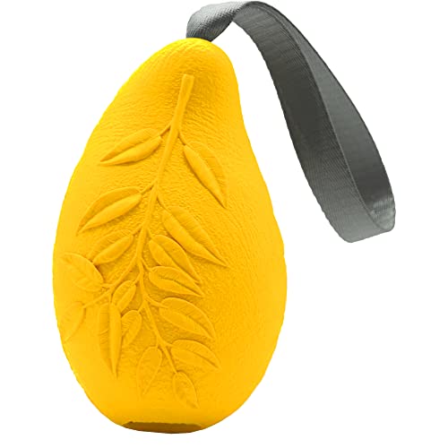 Sprenger Hundespielzeug Mango mit Leckerli Versteck I Intelligenz Lernspielzeug für den Hund aus Naturkautschuk für natürliche Zahnpflege