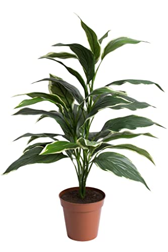 künstliche Hosta-Pflanze im braunen Kunststofftopf Cover