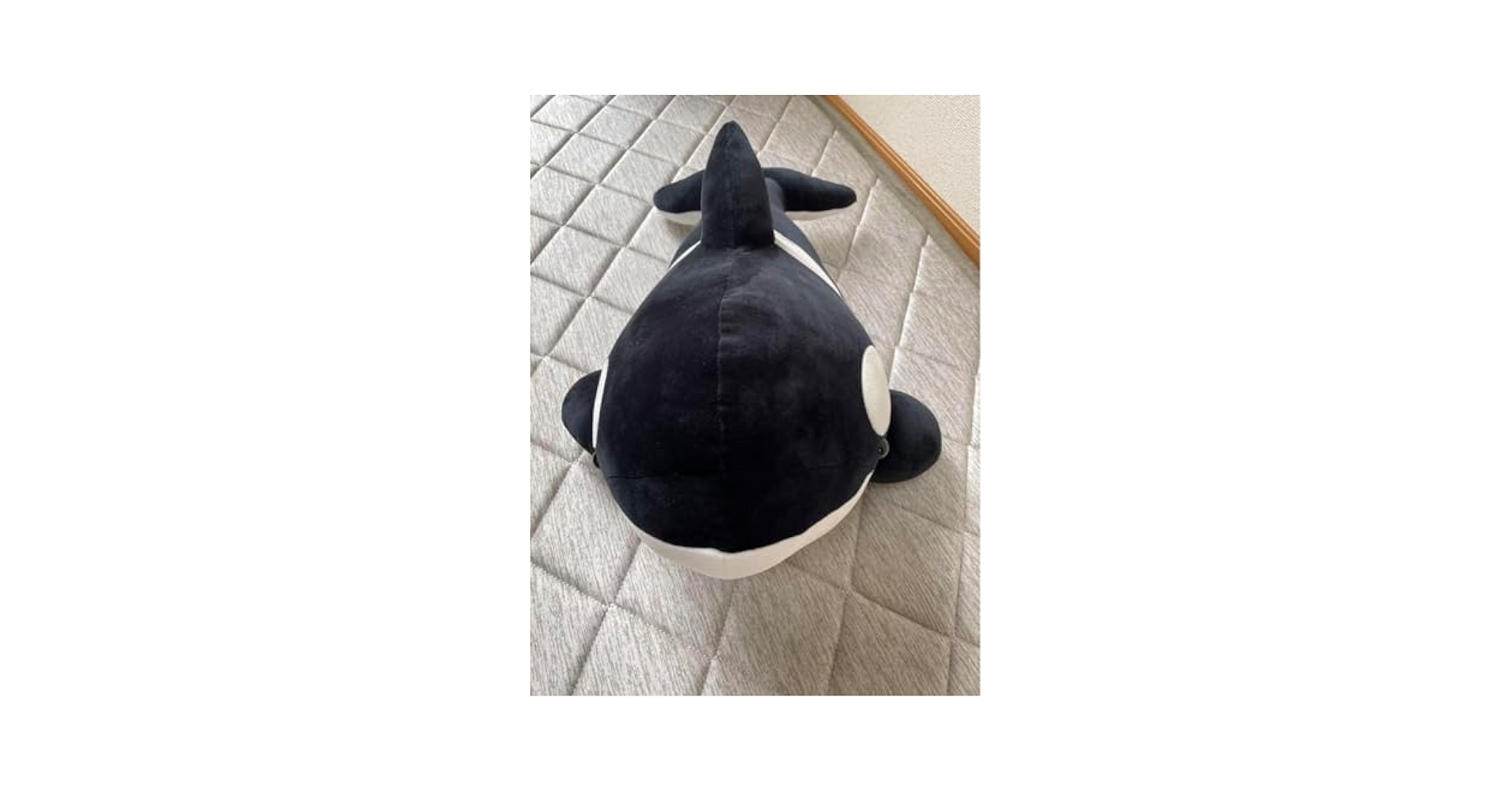 名古屋港水族館 シャチ くじ 2等 Amazon.co.jp: 名古屋港水族館 ぬいぐるみ くじ シャチ 2種類