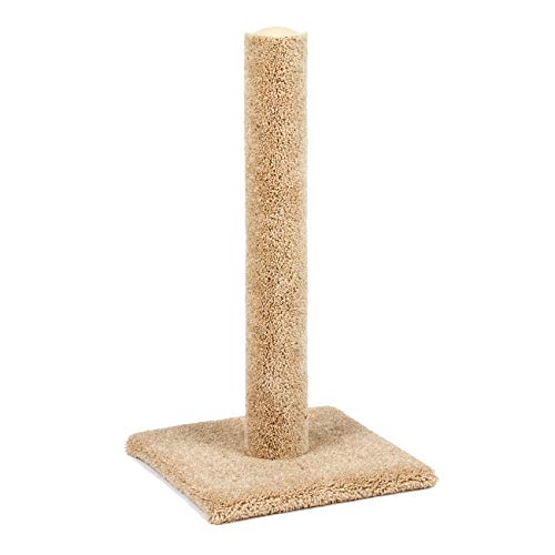 CK Cat Scratching Post, 8.5'L x 8.5' W x 30'H (NA49020)