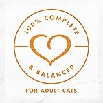 Purina-Fancy-Feast-Gravy-Wet-Cat-Food-Variety-Pack-Delights-With-Cheddar-Grilled-Collection-24-3-oz-Cans