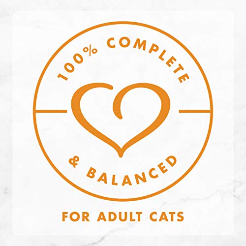 Purina-Fancy-Feast-Gravy-Wet-Cat-Food-Variety-Pack-Delights-With-Cheddar-Grilled-Collection-24-3-oz-Cans
