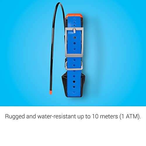 Garmin-T-5X-Dog-Device-Tracking-and-Training-Dog-Device-with-Collar-Rugged-and-Water-Resistant-High-Sensitivity-GPS-Blue