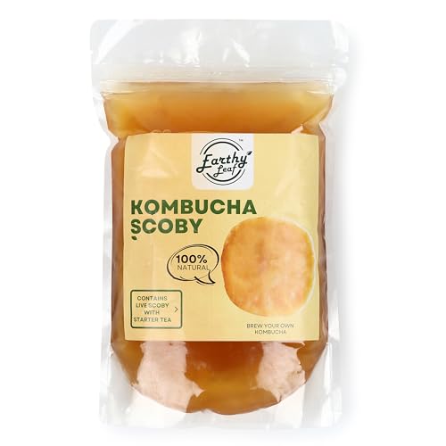Image of Earthy Leaf | Kombucha SCOBY with Starter Tea