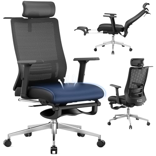 Ergonomic Office Chair, Adjustable Lumbar &Headrest, 3D Armrests,...