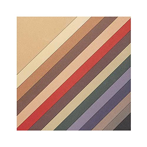 LaCarte Light Gray Pastel Paper Pack of Five - 19.5in. X 25.5in.