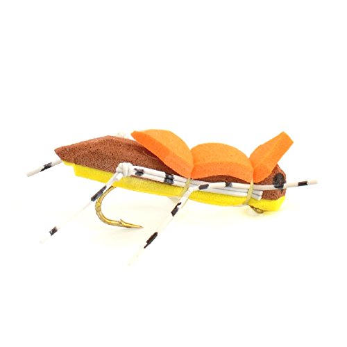 The Fly Fishing Place Basics Collection - Foam Hoppers Dry Fly Assortment - 10 Dry Fishing Grasshopper Flies - 5 Patterns - Hook Size 10 #TOP1