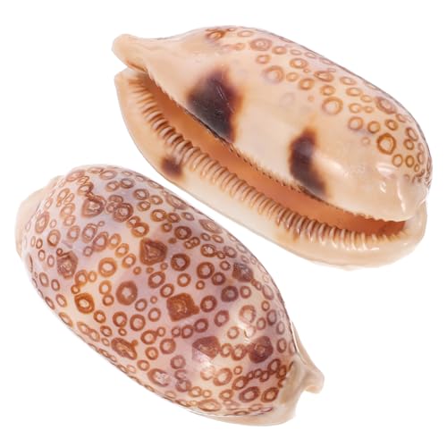 Generic カタツムリ 貝殻 水槽装飾 2個セット ? 無臭 滑らか仕上げ DIYクラフトやアクアリウム飾りに