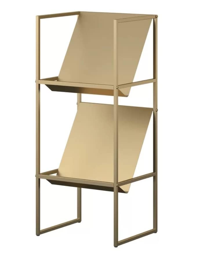 INDIDECOR 25025 Classic 2-Tier Vinyl Record Storage Rack, Vinyl Record Shelf, LP Storage Shelf, Record Holder for Albums, Large Capacity Vinyl Record Display Stand - Golden