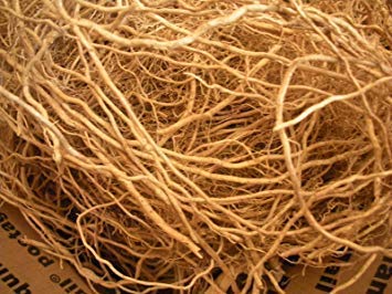 DREAM NURSERY-Organic Vetiver Root Khus Root - Vetiveria - Zizanioides - Vala - Kas Ramacham - Vetiver - Vettiver Root - खस की जड़ (PACK OF 200 g)