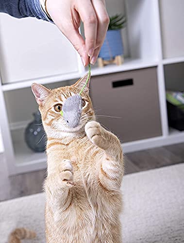 RvPaws-Cat-Toy-Catnip-Mice-Cat-Cotton-Toy-for-Kitten-Cat-3-pcs-Set