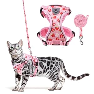 KOOLTAIL Cat Harness and Leash Set, Escape Proof for Safe Walking & Travel, Reflective Comfortable Easy Control Adjustable Kitten Harness for Boys&Girls Small Medium Large Cats Strawberry M