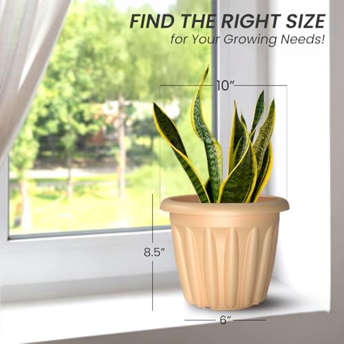Image of YUCCABE ITALIA SHERA Floot Plastic Flower Pot Round Planter Suitable for Indoor Outdoor Kitchen Garden (Beige, 10 INCH - 3 Pcs)