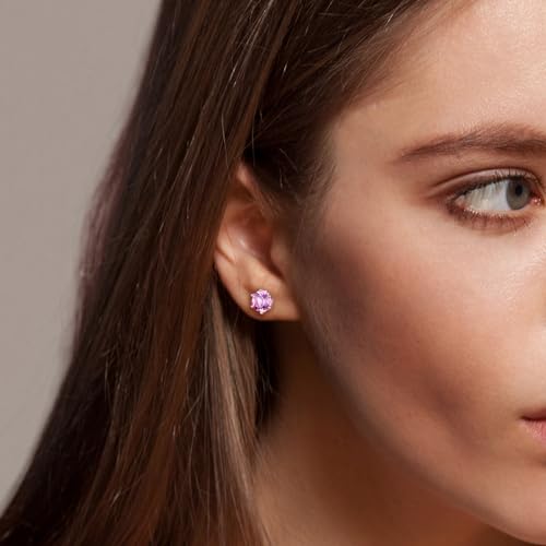 925 Sterling Silver Birthstone Earrings for Women Small Stud Earrings Round/Princess Cut Gemstone Earrings Birthstone Jewelry2