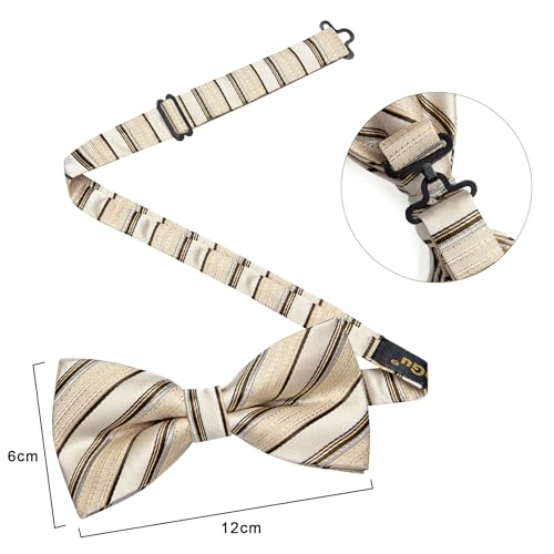Image of DiBanGu Paisley Pre-Tied Bow Ties for Men Silk Adjustable Bowtie and Pocket Square Cufflinks for Wedding Party