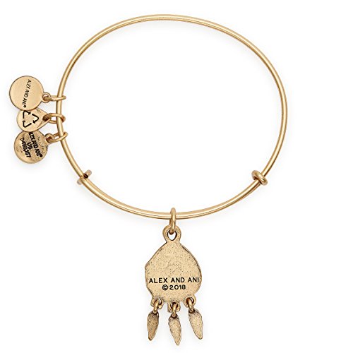 Alex and Ani Path of Symbols Expandable Bangle for Women, Dreamcatcher Charm, Rafaelian Finish, 2 to 3.5 in3