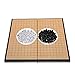 Go Gioco Set da Viaggio, Magnetic Go Gioco da Tavolo per Bambini Go Gioco da Scacchi Impostato con Pietre Scacchiera Pieghevole
