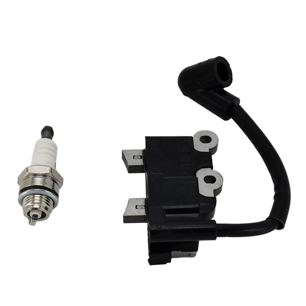 Bobine d'allumage 291337001 haute tension pour moteur RY253SS