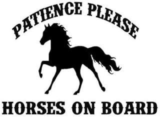 LJINGMING 2 Piezas De Caballos A Bordo De La Paciencia, por Favor, Pegatina De Vinilo para Coche,Black-17cm * 12.3cm