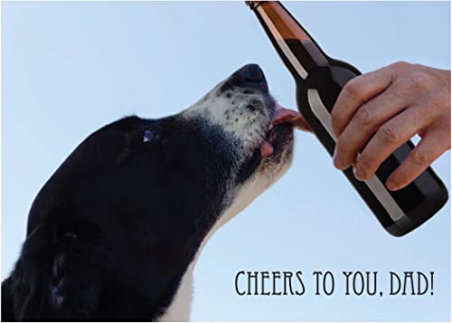 Funny Father’s Day Card for Dog Lovers – “Cheers to You, Dad!” Border Collie Beer Design, From Dog Gift