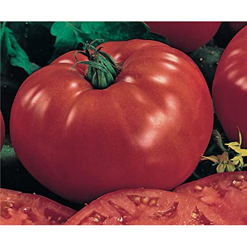Sementes de Tomate Gaúcho Pcte C/ 50 Gramas