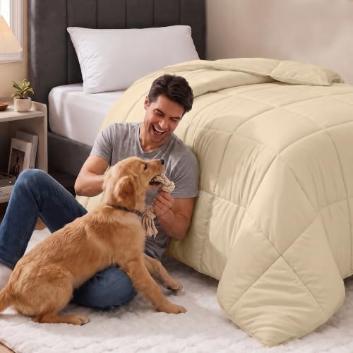 Image of Utopia Bedding Twin Comforter, Duvet Insert, Beige, 64 x 88 Inches