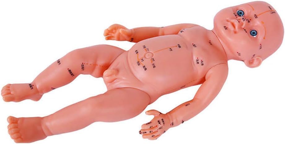 Modèle d'acupuncture pédiatrique HD pour massage Tuina et étude des méridiens de médecine chinoise