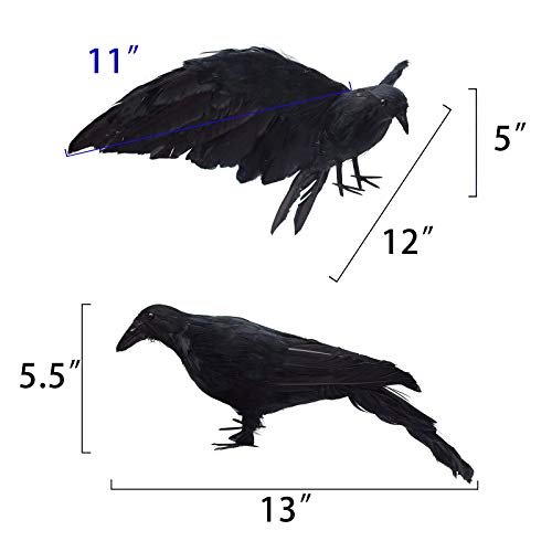 Etistta 2-Pack Realistic Crows Lifesize Extra Large Handmade Black Feathered Crow for Halloween Decorations Birds, L (13 inch+12 inch)
