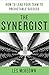 The Synergist: How to Lead Your Team to Predictable Success: How to Lead Your Team to Predictable Success