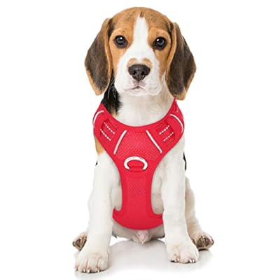 BARKBAY No Pull Dog Harness Front Clip Heavy Duty Reflective Easy Control Handle for Large Dog Walking with ID tag Pocket(Red,M)