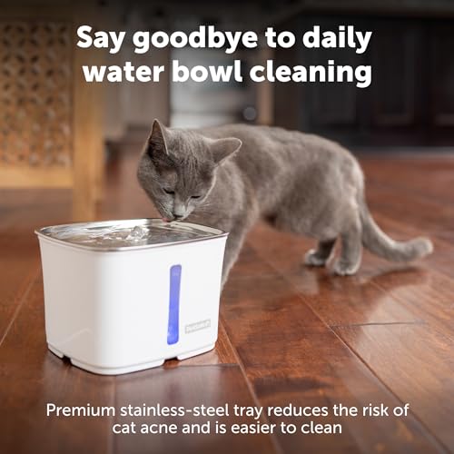 PetSafe Viva Pet Water Fountain for Cats and Small Dogs – 1.8L/64 oz, Indoor Stainless-Steel Pet Fountain with Whisper Quiet Pump, Dishwasher Safe, Easy to Clean, Water Filters Included PetSafe Viva Pet Water Fountain for Cats and Small Dogs – 1.8L/64 oz, Indoor Stainless-Steel Pet Fountain with Whisper Quiet Pump, Dishwasher Safe, Easy to Clean, Water Filters Included
