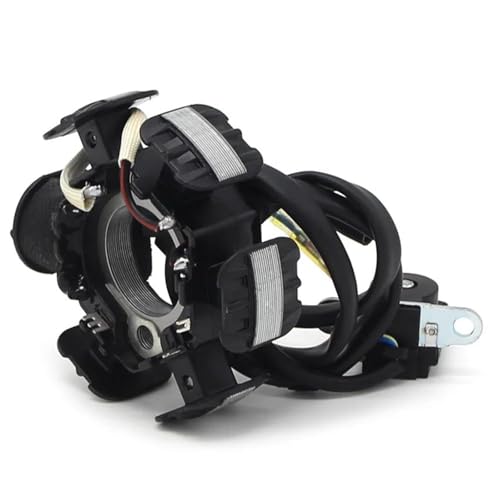 Stator bobine d'allumage de moto pour CRF100F avec isolation renforcée