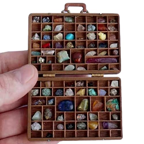 BNNEW Boîte de Collection Rock pour Enfants - Organisateur de Rock pour Enfants - Rock, Mineral Collection Activity Kit, Arts and Crafts, Rock and Mineral Kit, Rocks for Kids Cover