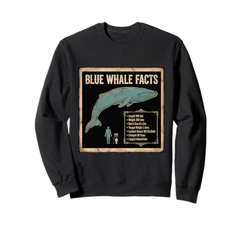 �u���[�z�G�[�� �V���i�K�X�N�W�� BLUE WHALE FACTS �C�m���� �G�w �g���[�i�[