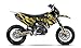 ARider Decorazione (adesivo) per KTM 690 SMC 2008-2011 | Dragon Edition (oro cromato)