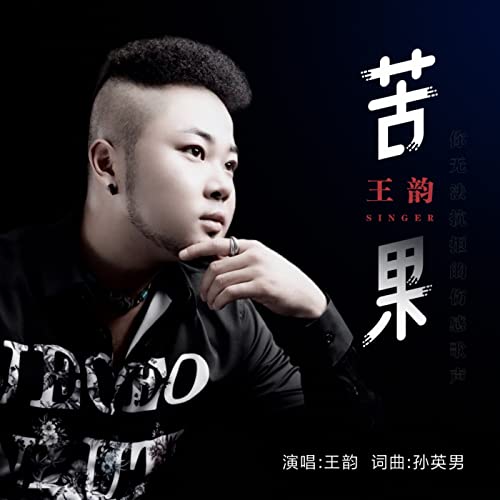 Amazon Musicで王韵の苦果を再生する