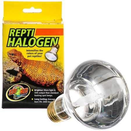 double training lead