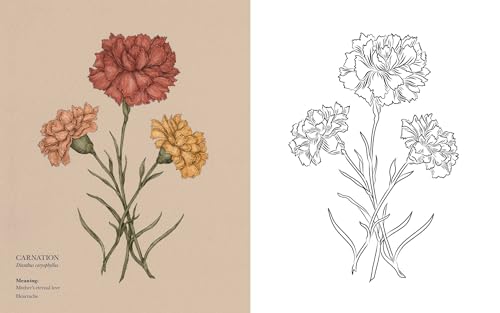 Image of Floriography Coloring Book